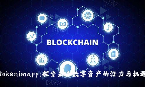 Tokenimapp：探索未来数字资产的潜力与机遇