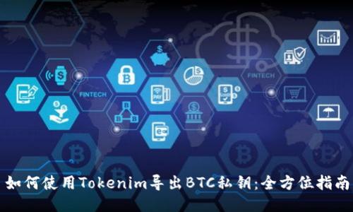 如何使用Tokenim导出BTC私钥：全方位指南