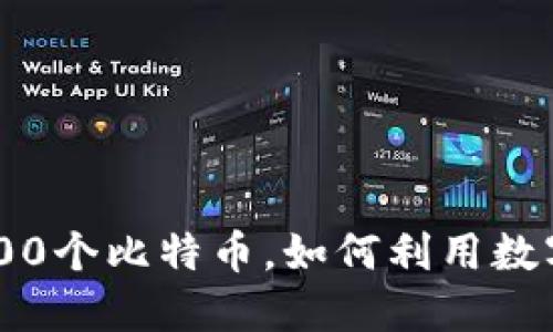 Tokenim成功收到100个比特币，如何利用数字资产实现最大价值